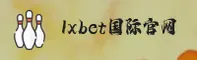 使用指南与常见问题