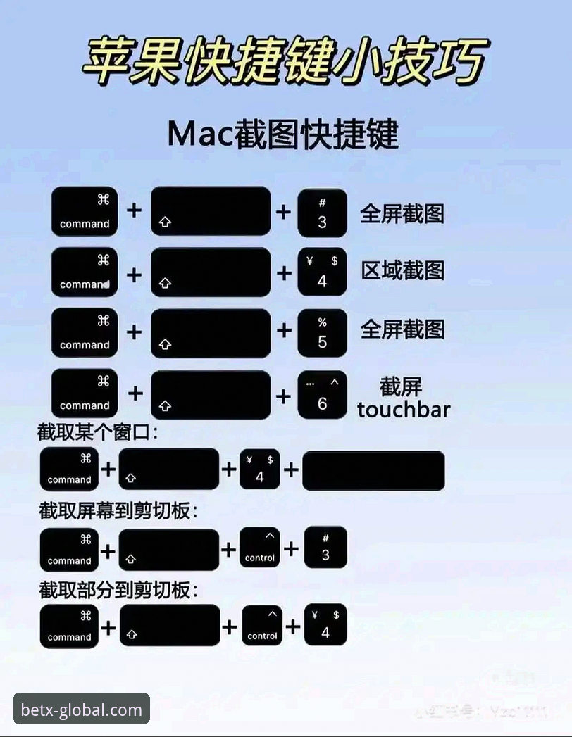 xbet苹果版必备安装教程：从下载到投注的全流程解析